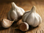 لہسن کی جدید قسم متعارف پیداوار 24 ٹن فی ہیکٹر