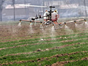 ٹڈی دل کے خاتمے کے اسپرے سے کسان دوست پرندے بھی متاثر ہونے کا خدشہ