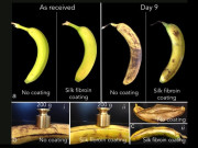 شفاف اورباریک ’ریشمی غلاف‘ جس میں کھانے کی چیزیں کئی دن محفوظ رہتی ہیں
