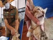 سری لنکا میں اسمگلنگ کے الزام میں قید بلی جیل سے فرار
