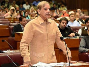 کشمیر پرحکومت کے پاس تقریر تحریر اورٹیلی فون کے علاوہ کچھ نہیں شہبازشریف
