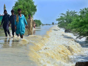 بارش سے تباہی دادو کی 13 یونین کونسلوں کے 80 دیہات آفت زدہ قرار