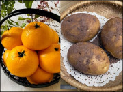 یہ آلو اور کینو نہیں تو پھر یہ کیا ہیں