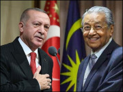 مسئلہ کشمیر اور عالم اسلام کے دو عظیم رہنما