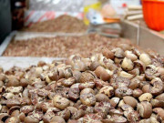 کسٹم حکام نے چھالیہ اسمگل کرنے کی کوشش ناکام بنادی