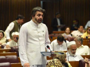 اسلام آباد کو کابل سے انگیج کرنا چاہیے، علی محمد خان