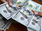 زرمبادلہ کے سرکاری ذخائر کی مالیت میں 7 کروڑ 30 لاکھ ڈالر کی کمی