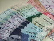 روزگار اسکیم 12 لاکھ ملازمین کے لیے 125 ارب کے قرضوں کی منظوری دی گئی