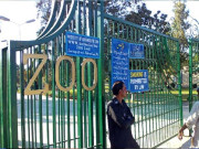 اسلام آباد چڑیا گھر کے 513 نایاب جانور اور پرندے غائب ہونے کا انکشاف