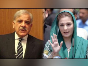 شریف فیملی کی مشکلات میں مزید اضافہ زمین پر قبضے کے الزام میں جواب طلب