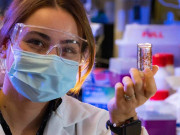 اسٹیم سیل بھرے کیپسول سے ٹوٹے ہوئے دل کی مرمت ممکن