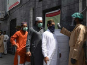ملک میں کورونا وبا کے مزید 513 نئے کیسزاور8 اموات رپورٹ