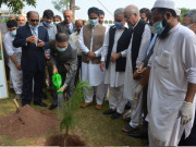 خیبر پختون خوا میں پاک چین دوستی شجر کاری مہم کا آغاز ہوگیا