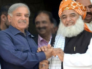 شہباز شریف اور فضل الرحمان کا حکومت کیخلاف مشترکہ حکمت عملی پر اتفاق