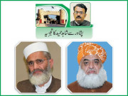 حکومت مخالف تحریک چھوٹی اپوزیشن جماعتیں کامیاب ہو پائیں گی