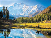 فطرت کے ساتھ تعلق استوار کیجیے