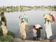 سندھ میں سیلابی ریلے نے تباہی مچادی ہزاروں ایکڑ پر کھڑی فصلیں تباہ