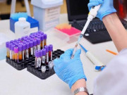 زیادتی کیس کرول گاؤں کے تمام رہائیشیوں کا dna ٹیسٹ کرانیکا فیصلہ