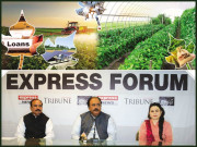 مائیکرو فنانسنگ کے ذریعے کاشتکاری میں جدت لائی جاسکتی ہے