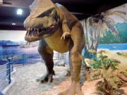 ملکی تاریخ میں پہلی دفعہ ’’نیچرل ہسٹری میوزیم‘‘ کی منظوری