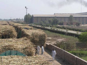 اینٹی کرپشن نے پنجاب بھرسے 44 شوگرملزمالکان کوریکارڈ سمیت طلب کرلیا