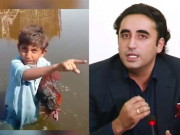 بدین زہریلا پانی پینے سے مرغے کی موت پر دکھی بچہ بلاول پر برس پڑا