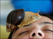 اس سیلون میں افریقی ’’گھونگھا فیشل‘‘ بھی کیا جاتا ہے