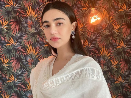 مجھے ایسے کرداروں کی ہی پیشکش ہوتی ہے جو سنجیدہ اور حساس سے ہوتے ہیں، صحیفہ جبار فوٹو: فائل