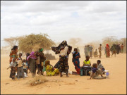 بدلتے موسم ہجرت کو بڑھاوا دے رہے ہیں