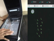 پاکستانی طلبا نے چاول کی کوالٹی جانچنے والا جدید سافٹ ویئر تیار کرلیا