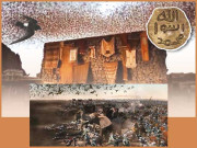 ظہور قُدسی کا پس منظر