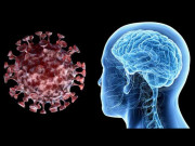 کورونا دنیا بھر میں ذہنی امراض میں غیر معمولی اضافہ