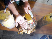 پشاور تخریب کاری کا منصوبہ ناکامد ہشت گرد ہلاک