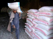 حکومت نے بیرون ملک سے گندم خرید کر30 لاکھ ٹن کے شارٹ فال کو پورا کرلیا