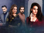 اقربا پروری میں لالی ووڈ بھی کسی سے کم نہیں