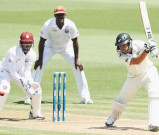 ہیملٹن ٹیسٹروس ٹیلر کیوی امیدوں کا محور بن گئے