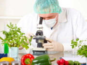 کھانے پینے کی اشیا کے معیار کی چیکنگ فوڈ ٹیسٹنگ لیبارٹری قائم ہوگی