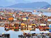 ٹانکا لوگ  کشتیوں کے باسی جو خشکی پر نہیں آتے