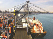 25 ہزار میٹرک ٹن چینی کی کھیپ پاکستان پہنچ گئی