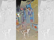 کراچی میں آوارہ کتوں کے حملے سے بچنے کے لیے شہری شیڈ سے لٹک گیا