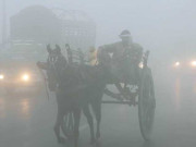 اسموگ  خطرات اور اثرات