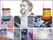 انسانی جسم کی تخلیق اور بائیو کیمک نمکیات