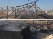 لانڈھی میں بھینسوں کے باڑے میں آتشزدگی 35 مویشی جل کر ہلاک