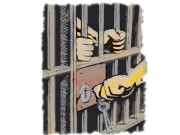 گھروں میں ڈکیتی میں ملوث سی آئی ڈی افسر و اہلکار کی ضمانت مسترد