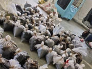 روہڑی میں ٹرک سے 7500 کلو گرام پوپی ڈوڈے برآمد