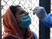 کورونا نے مزید 40 جانیں لے لیں جاں بحق افراد کی تعداد 8025 ہوگئی