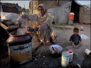 بھوک پاکستا ن کے غذائی تحفظ اور معاشی ترقی میں رکاوٹ بن سکتی ہے زرتاج گل وزیر