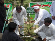 وزیراعظم کا بلین ٹری منصوبے کی مکمل تفصیلات سپریم کورٹ کو فراہم کرنے کا حکم