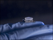 تیز رفتار پی سی آر ٹیسٹنگ کی مکمل تجربہ گاہ آپ کی انگلی سے بھی چھوٹی