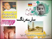 سارے رنگ